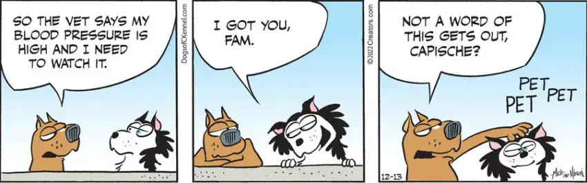 Dogs of C-Kennel for Dec 13, 2022