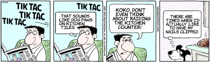 The Other Coast for Dec 14, 2021