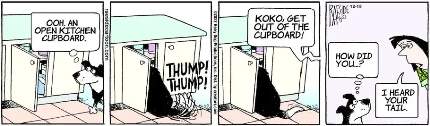 The Other Coast for Dec 15, 2022