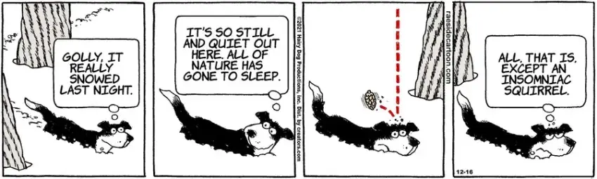 The Other Coast for Dec 16, 2021