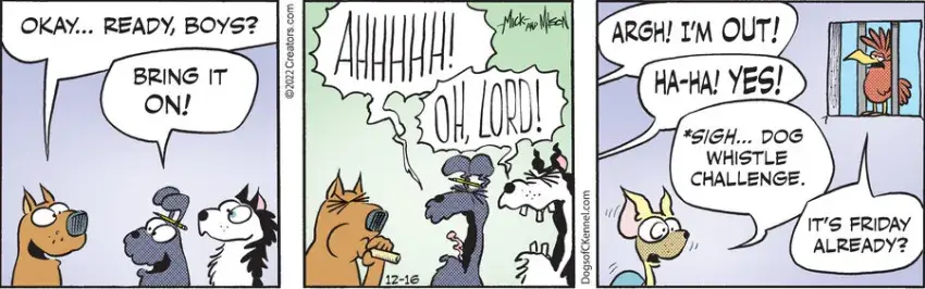 Dogs of C-Kennel for Dec 16, 2022