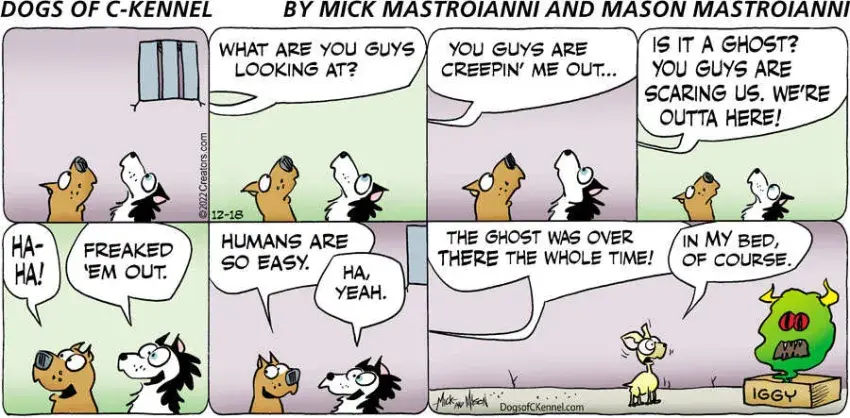 Dogs of C-Kennel for Dec 18, 2022