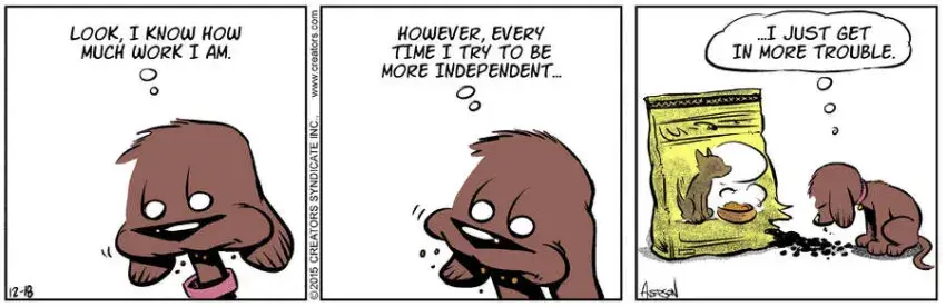 Dog Eat Doug for Dec 18, 2024