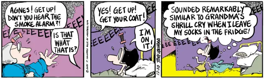 Agnes for Dec 20, 2021