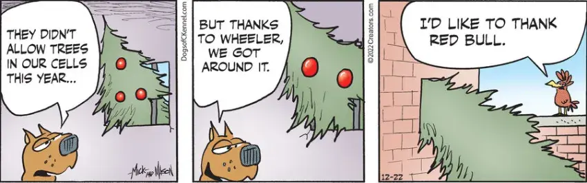 Dogs of C-Kennel for Dec 22, 2022