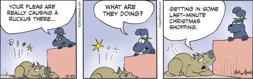 Dogs of C-Kennel for Dec 23, 2021