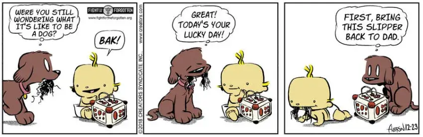 Dog Eat Doug for Dec 23, 2023