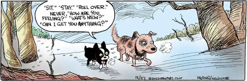 Zack Hill for Dec 27, 2022