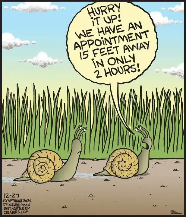 Free Range for Dec 27, 2024