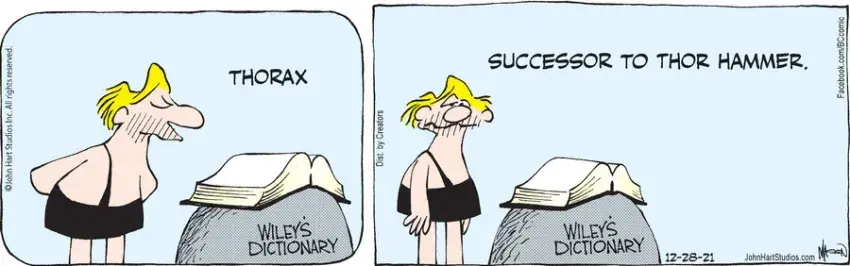 B.C. for Dec 28, 2021