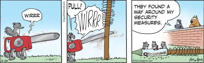 Dogs of C-Kennel for Dec 28, 2022