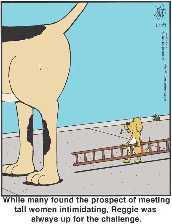 Rubes® for Dec 29, 2022