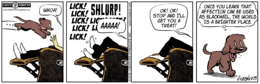 Dog Eat Doug for Dec 29, 2023