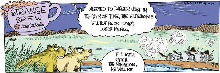 Strange Brew for Dec 29, 2024