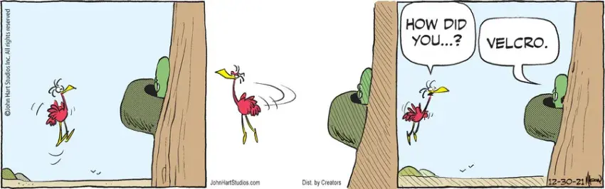 B.C. for Dec 30, 2021