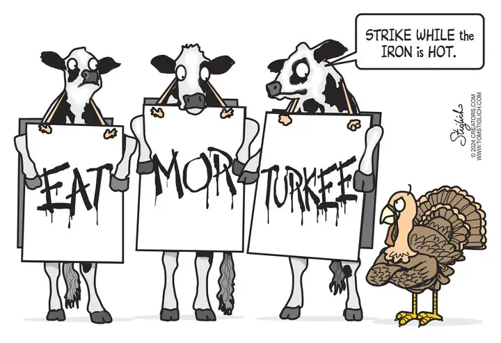 Tom Stiglich for Nov 28, 2024